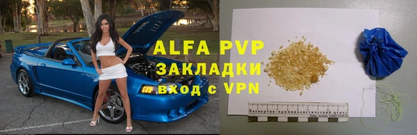 Альфа ПВП Новозыбков