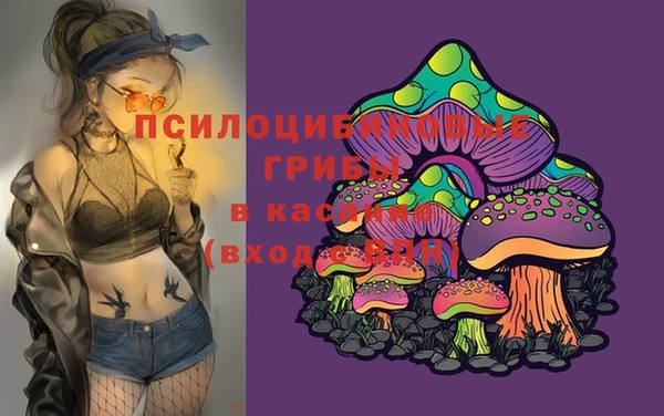 спайс Новодвинск