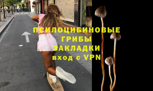 крисы Нефтегорск