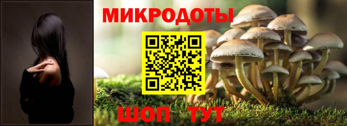Волоколамск  Псилоцибиновые грибы Psilocybine cubensis  Галлюциногенные грибы Cubensis  Вход с VPN 
